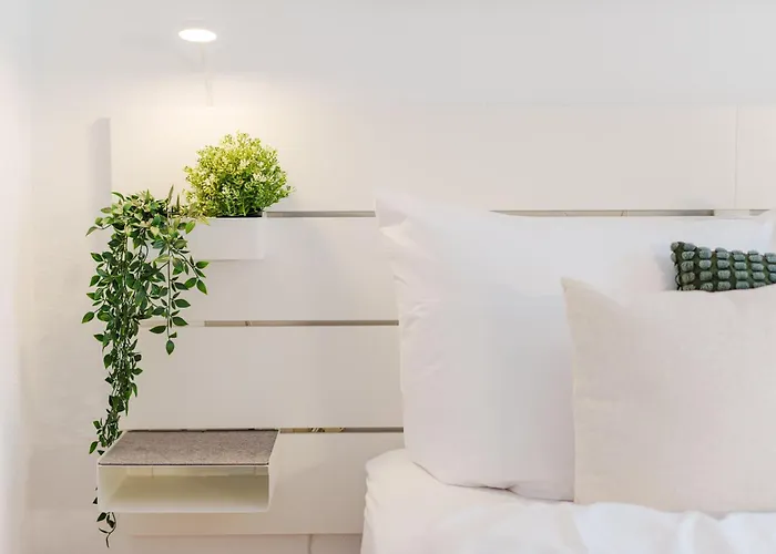 Boutique I Neustadt Dresden